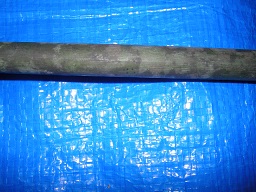 SANY0331.JPG