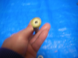 SANY0343.JPG