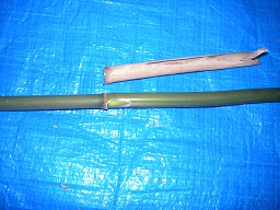 SANY0360.JPG