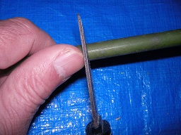 SANY0364.JPG