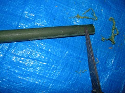 SANY0365.JPG