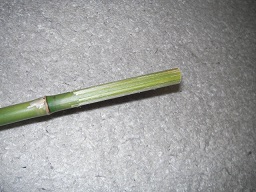 SANY0368.JPG