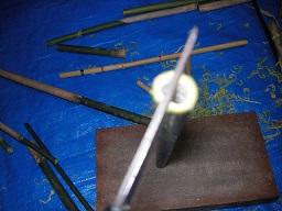 SANY0370.JPG
