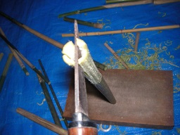 SANY0371.JPG