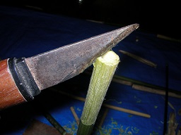 SANY0374.JPG