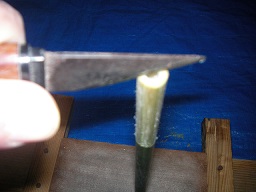 SANY0379.JPG