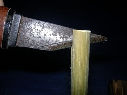 SANY0380.JPG