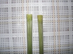 SANY0387.JPG