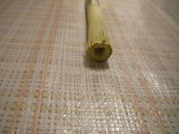SANY0409.JPG