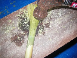 SANY0424.JPG