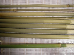 SANY0433.JPG