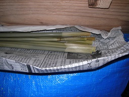 SANY0449.JPG