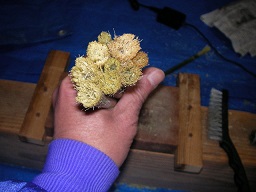 SANY0461.JPG