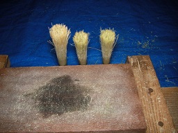 SANY0474.JPG