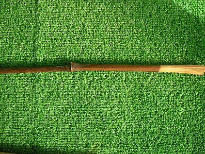 Sa39.JPG