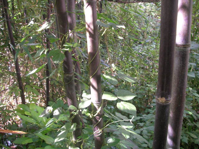 s152.JPG